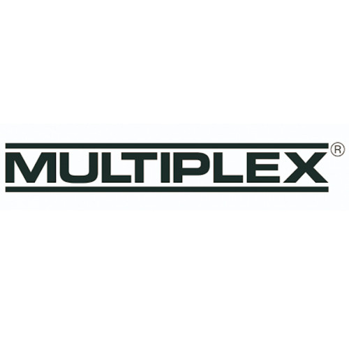 Multiplex Ferr. Ring For Sep. Filter x100 85132