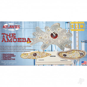 Atlantis Models Amoeba Single Cell Plastic Model Science Kit STEM