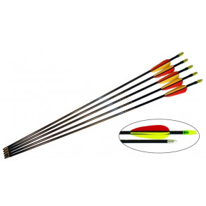 5 x Trueflight 26" Fibreglass Archery Arrows with SafetyTips for Target Practice