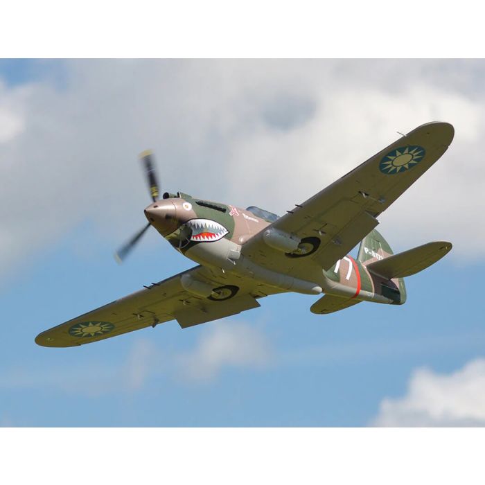 FMS P-40B Warhawk.V2 (980mm) ARTF (no Tx/Rx/Batt) RC Model Warbird Plane