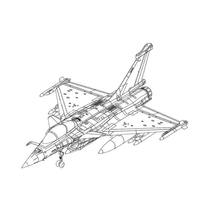 FMS Rafale (80mm) EDF ARTF (no Tx/Rx/Batt/Chgr) Brushless RC Jet