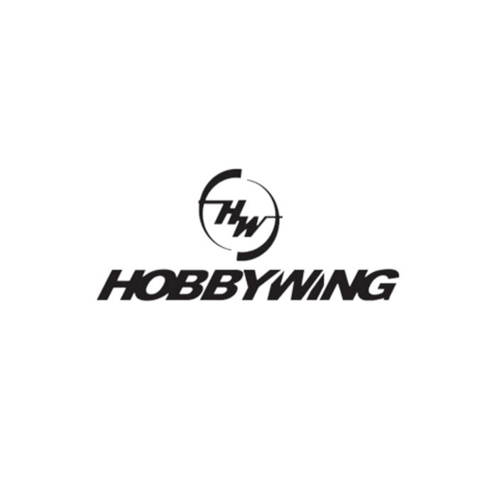 Hobbywing Std Capacitors Module C (XD10)