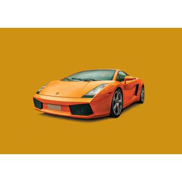 Italeri 1:24 Lamborghini Gallardo Plastic Model Kit