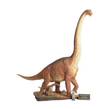 Tamiya 1:35 Brachiosaurus Diorama Plastic Model Kit