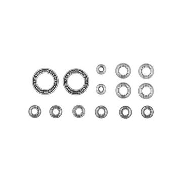 Associated RC10 Model 24 Bearing Set