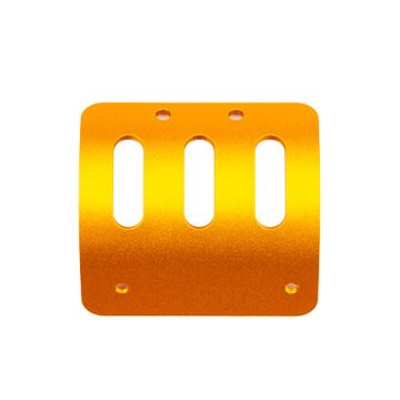 Team Associated RC10 89 Stealth Car Motor Guard, Gold