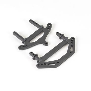 FTX Carnage/Outlaw Body Post (2pcs)