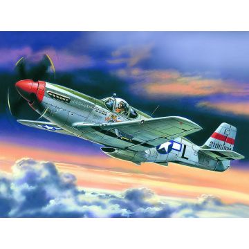 ICM 1:48 Mustang P-51C WWII American Fighter Plane Plastic Model Kit