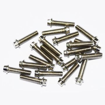 RC4WD Miniature Scale Hex Bolts (M2.5 X 10mm) (Silver)