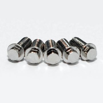 RC4WD Miniature Scale Hex Bolts (M3 X 6mm) (Silver)