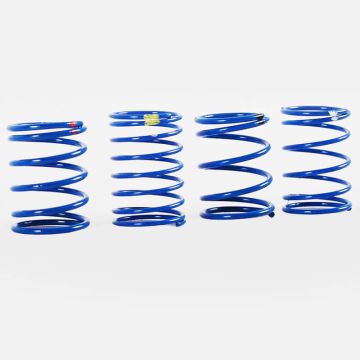 RC4WD 70mm King Scale Shock Spring Assortment